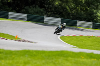 Lower Group Black Bikes